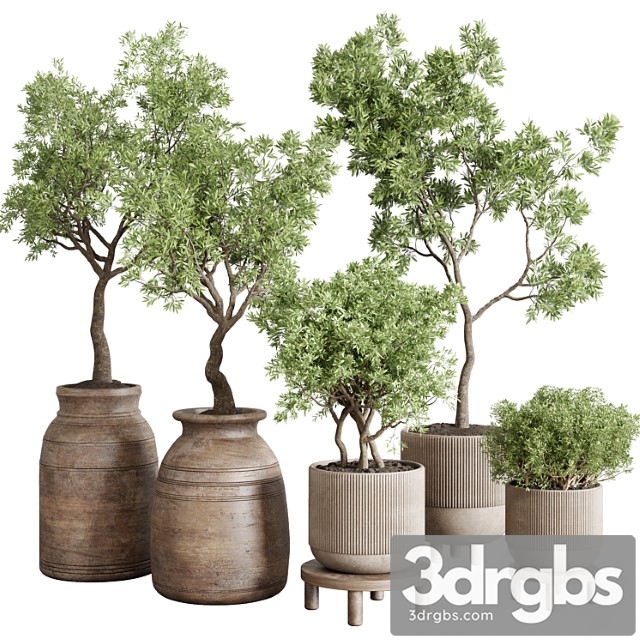 Wood collection indoor outdoor plant 141 vase concrete old pot tree vray