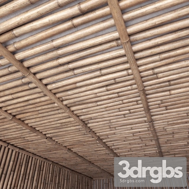 Bamboo Ceiling