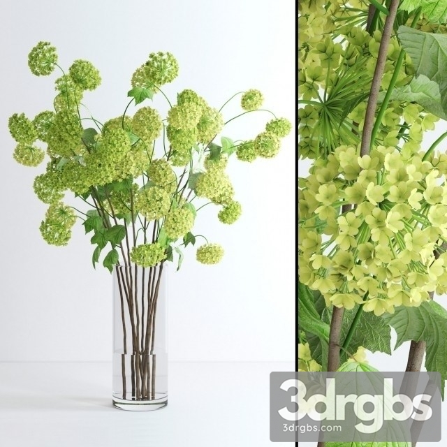 Viburnum Bouquet