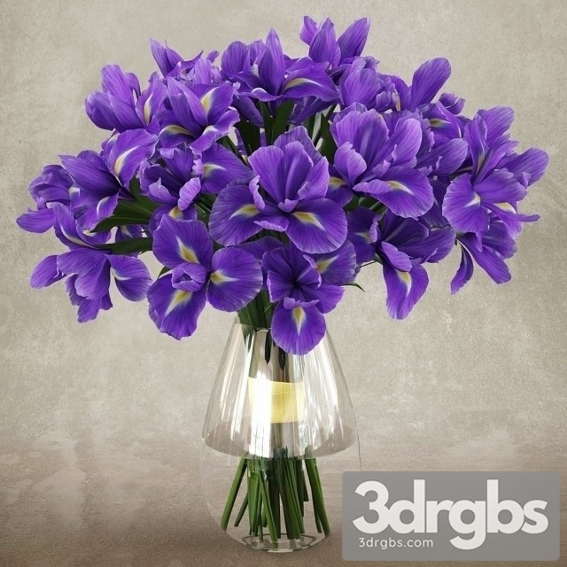 Iris Bouquet