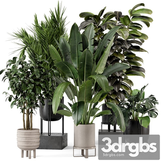Indoor Plants in Ferm Living Bau Pot Large Set 879