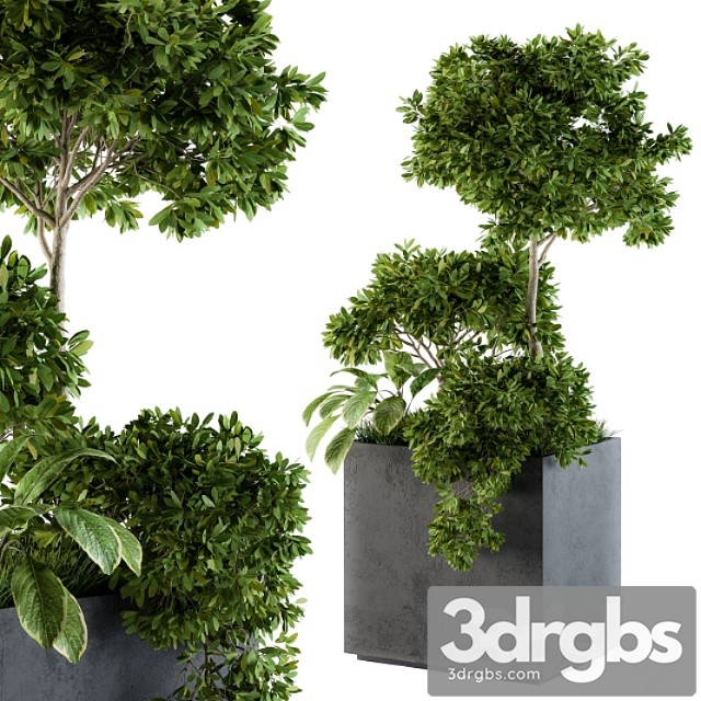 Outdoor plants concrete box - set 58