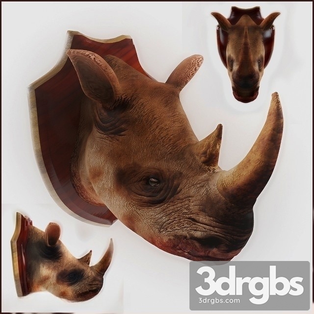 Rhino Head