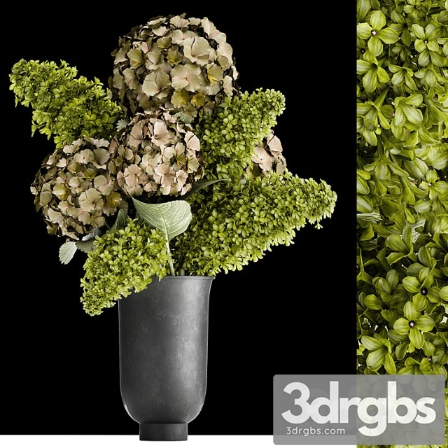 Beautiful Modern Bouquet of Green Flowers In Black Vase With Hydrangea Green Lilac 169