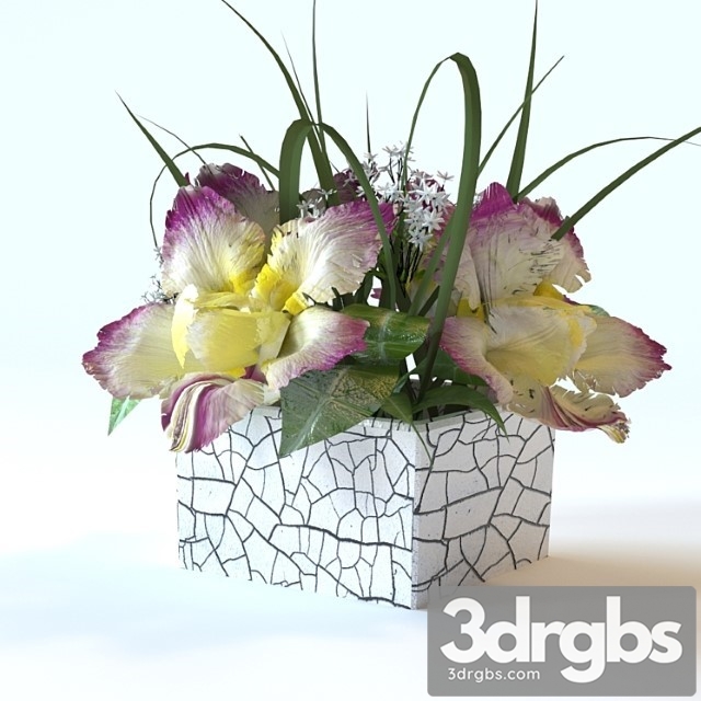 Flowers in a Square Vase 2