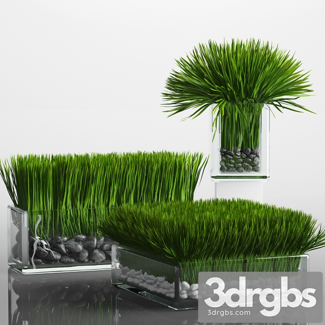 Grass Arrangement