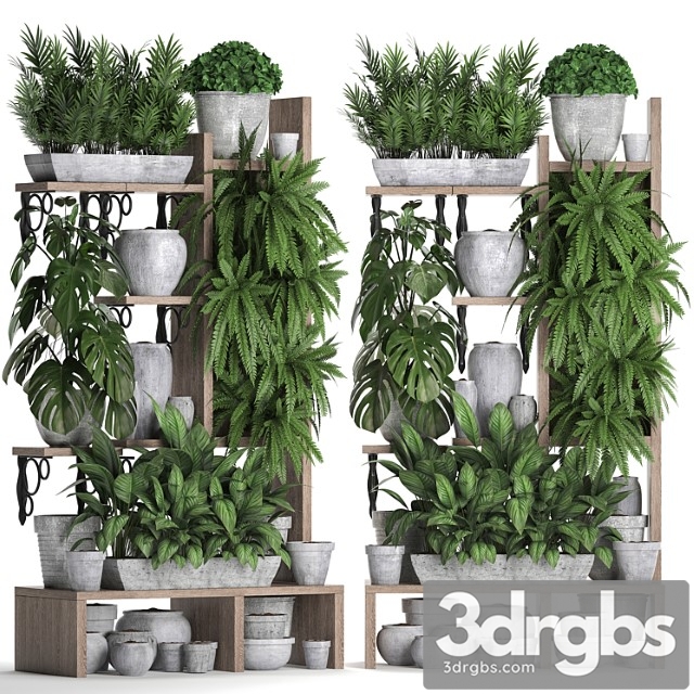 Plant collection 369. shelf with flowers, fern, flowerpot, greenery, vertical garden, concrete pot, phytowall, phytomodule, pots, eco design, areca palm