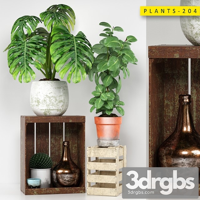 Plants 204