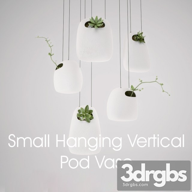 Small Hanging Vertical Pod Vase