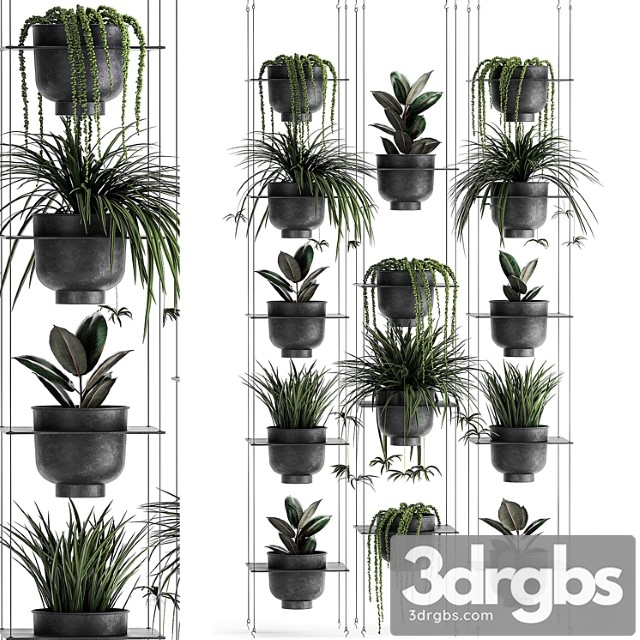 Vertical gardening home garden flower shelf with chlorophytum, ficus, rowley's krestovnik, phytostena, phytomodule. set 61