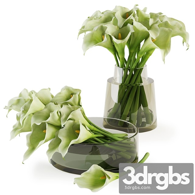 Calla lilies bouquets