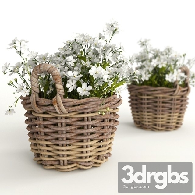 Flowers in a basket