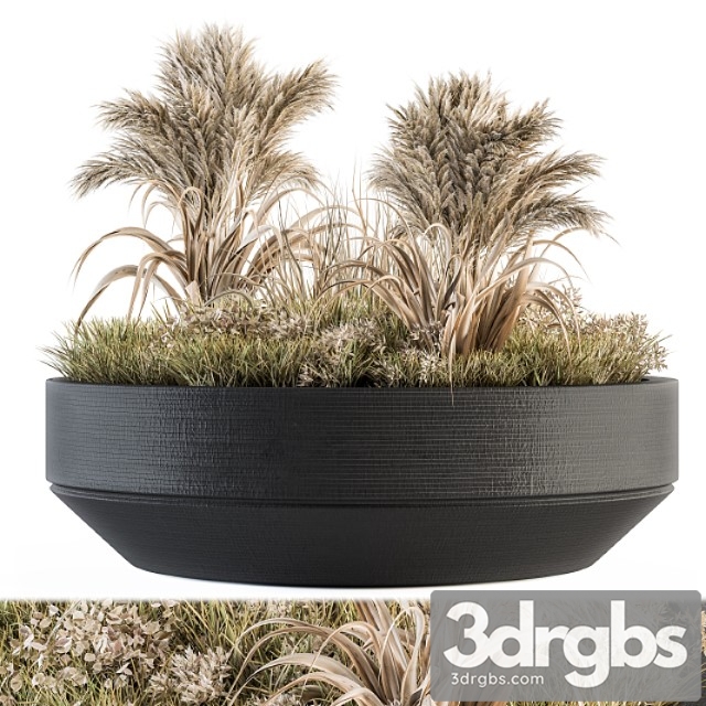 Outdoor plants tree in concrete pot - set 147