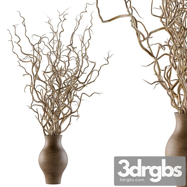 Bouquet set 19 - dried twisted branches