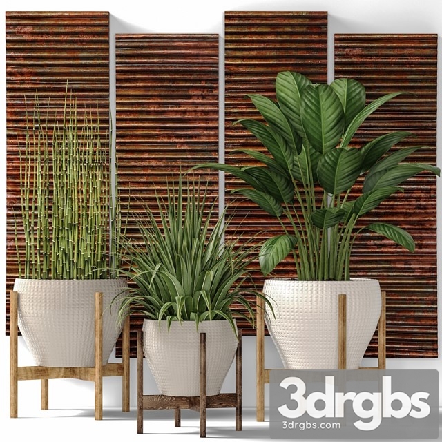 Collection of plants in pots 6. flower, pot, bush, flowerpot, interior, indoor, alocasia, copper decor, panels, wall decor, uttermost, paintings, abstraction, luxury