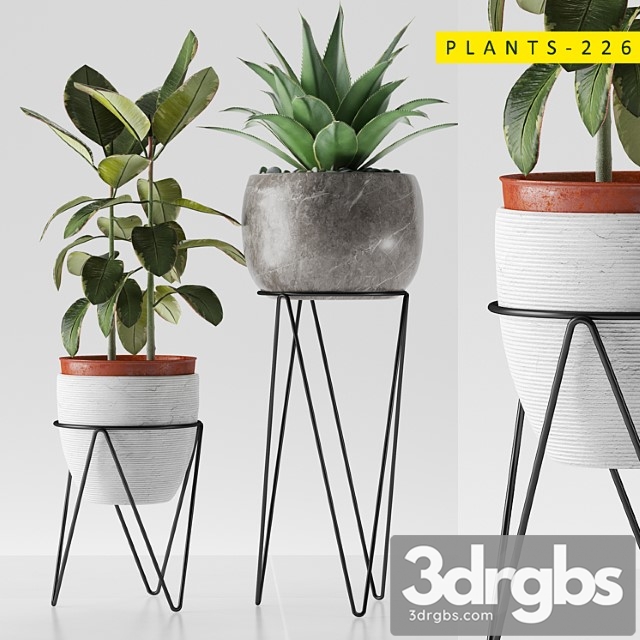 Plants 226