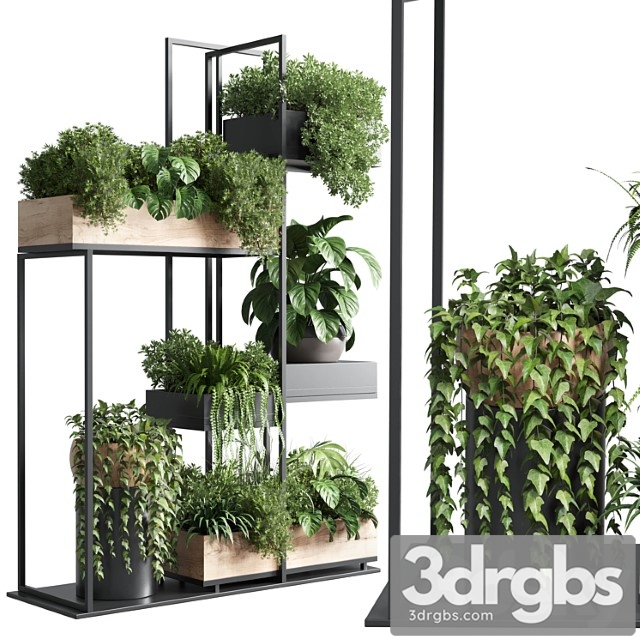 Stand plant box - collection indoor plant 217 wooden