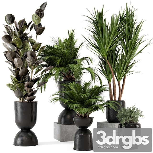 Indoor plants in ferm living bau pot large - set 226