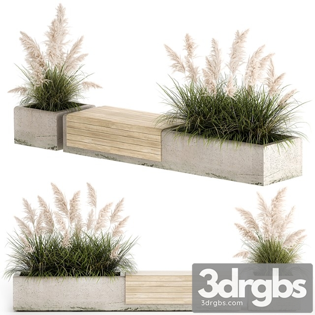 Bench flowerbed for the urban environment in a concrete flowerpot with bushes of reeds and pampas grass, cortaderia. 1144.