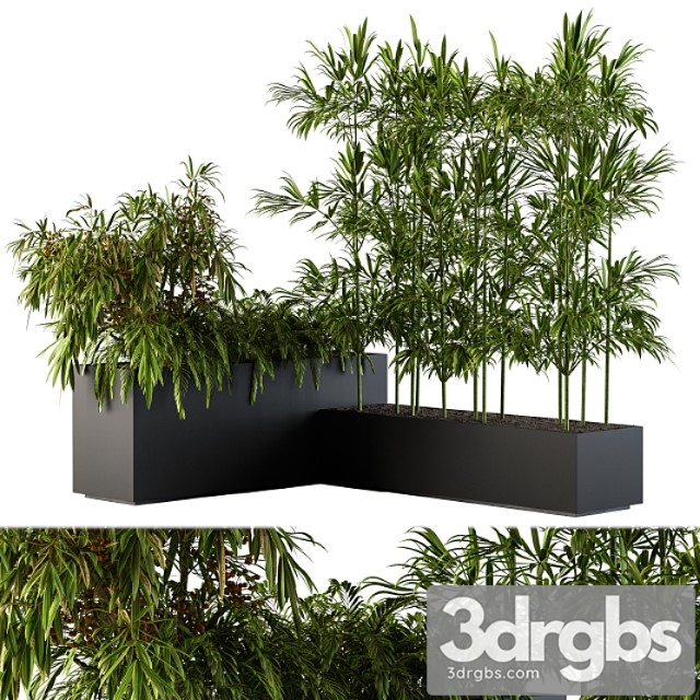 Outdoor plants black plastic box - set 73