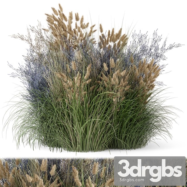 Outdoor plants bush-bush set 1225