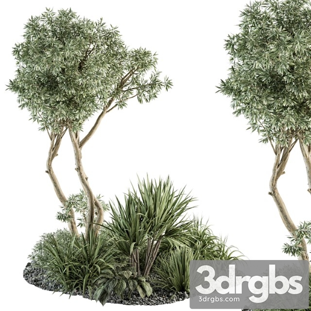 Needle tree and bush - outdoor garden set 305