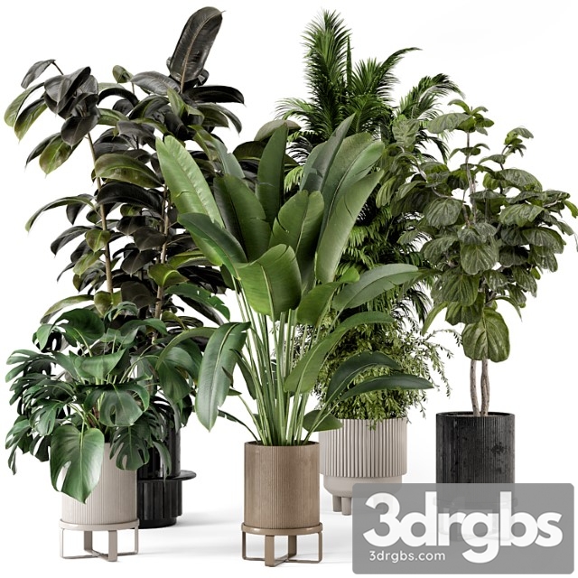 Indoor plants in ferm living bau pot large - set 734