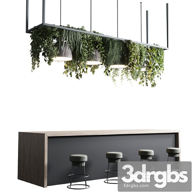 Coffee Shop Reception Restaurant Counter by Hanging Plant 04