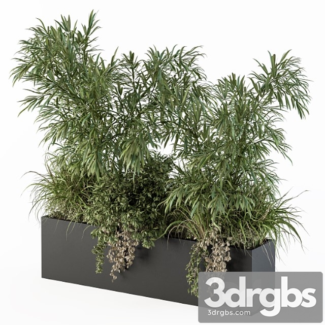 Outdoor plant set 252 - plant box with bamboo tree