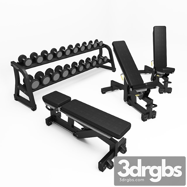 Technogym Pure Strength Adjustable Bench Free Weights Dumbbells