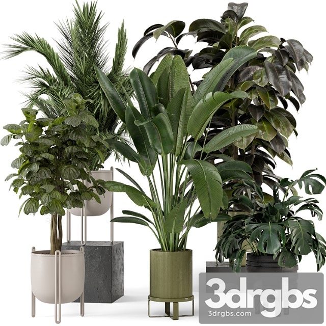 Indoor Plants in Ferm Living Bau Pot Large Set 976