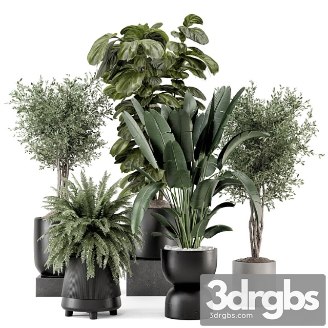 Indoor Plants In Ferm Living Bau Pot Large Set 1277