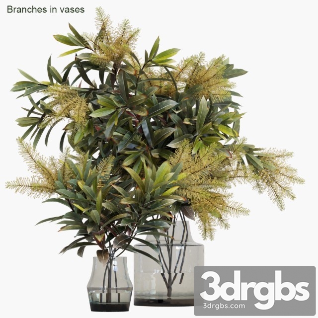 Branches in Vases 10