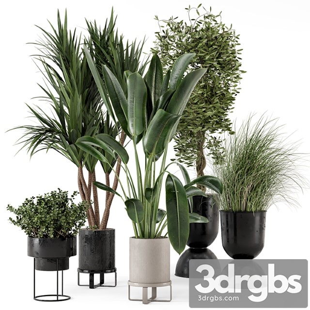 Indoor Plants in Ferm Living Bau Pot Large Set 312