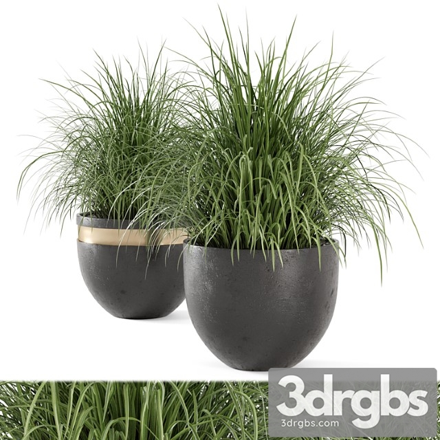 Outdoor plants bush in rusty concrete pot - set 186