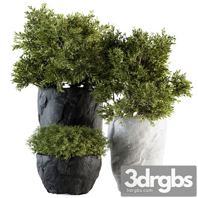 Outdoor Plants Tree in Rock Pot Set 136