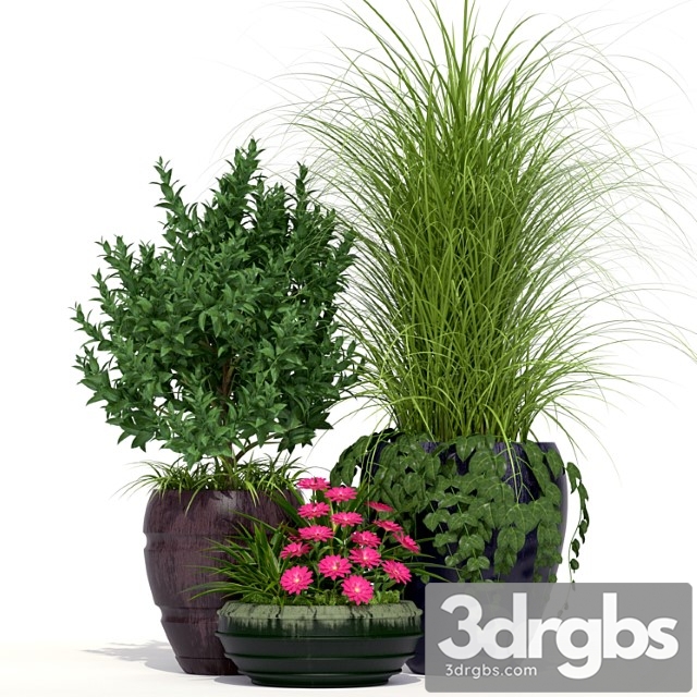 Outdoor Planters 1