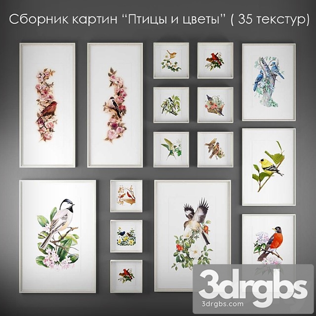 Collection of Paintings Birds and Flowers