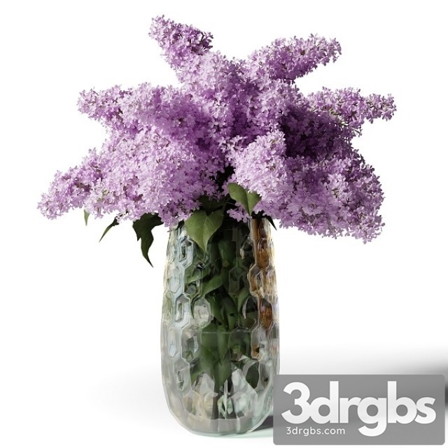 Bouquet of Lilacs in a Modern Tall Vase
