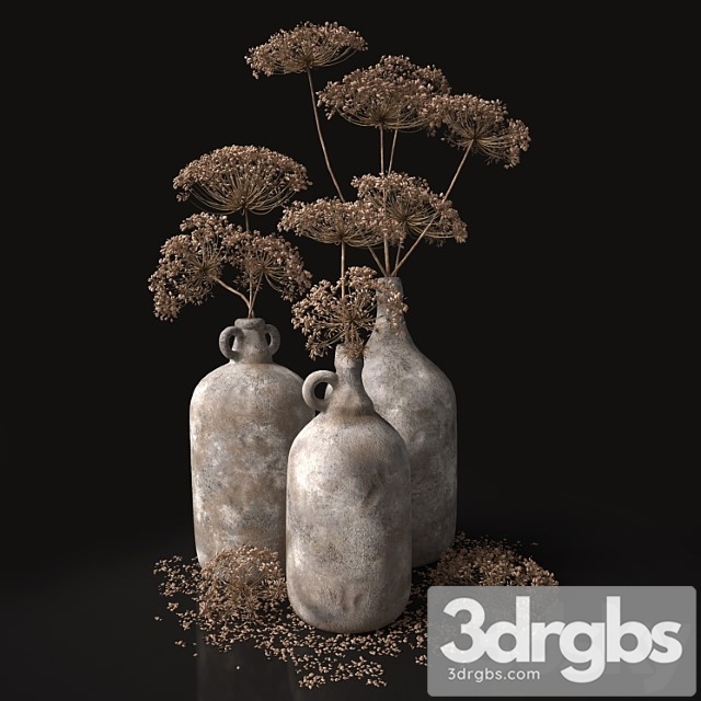 Jugs with dry dill stalks