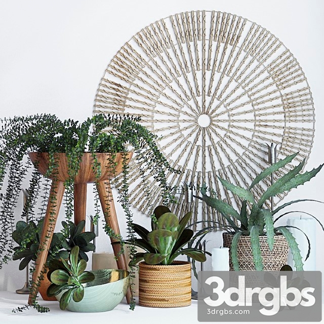 Decorative set Plant decor set - 1