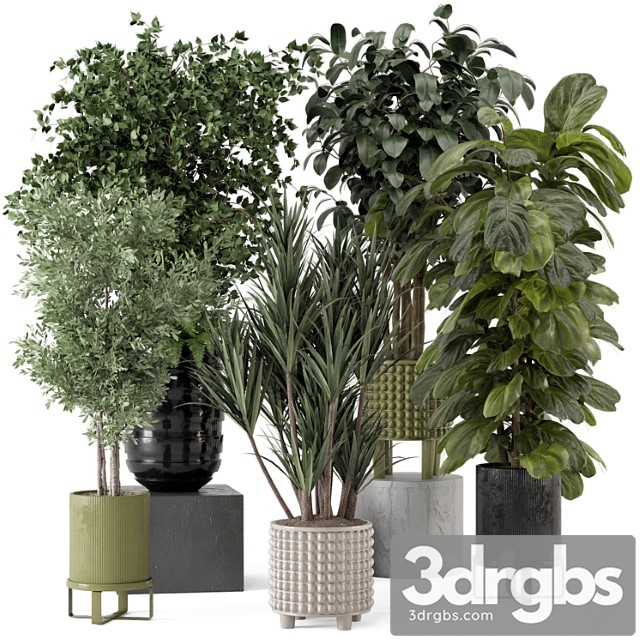 Indoor plants in ferm living bau pot large - set 1053