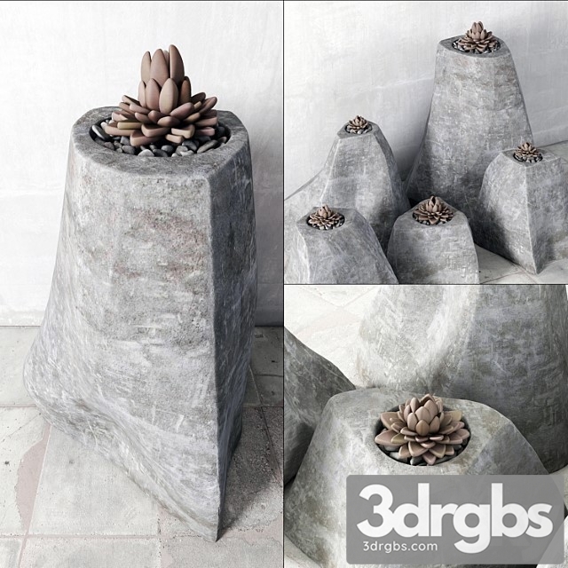 Succulent rock vase