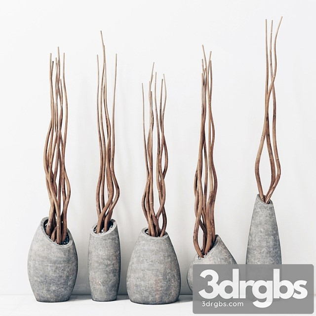 Branches In Concrete Vases Brunch Concrete Vasya