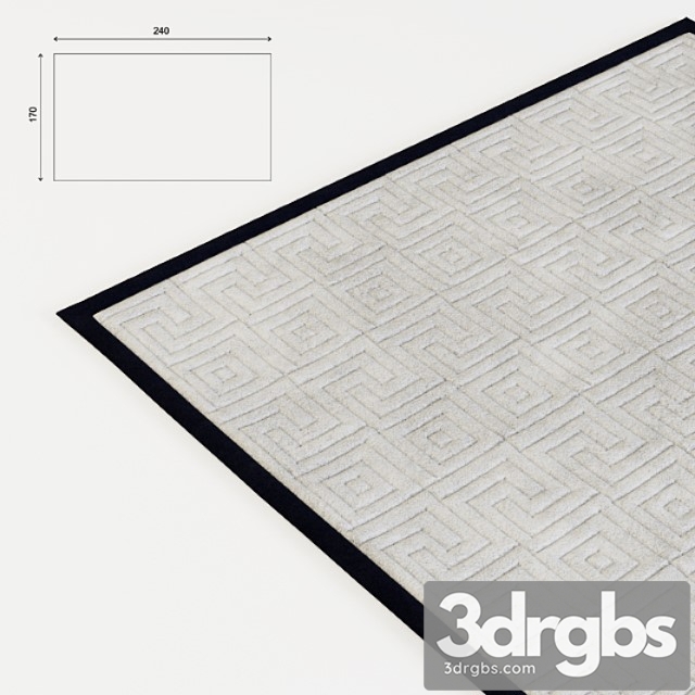 Contemporary rug