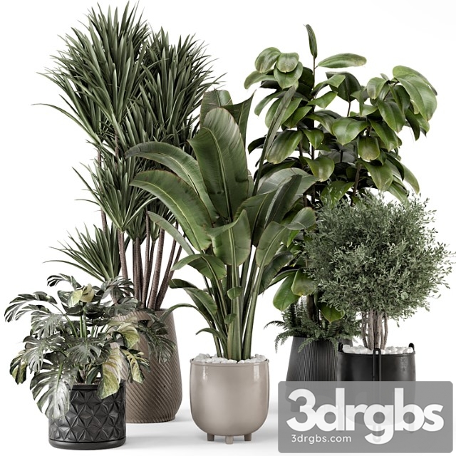 Indoor Plants In Ferm Living Bau Pot Large Set 1343