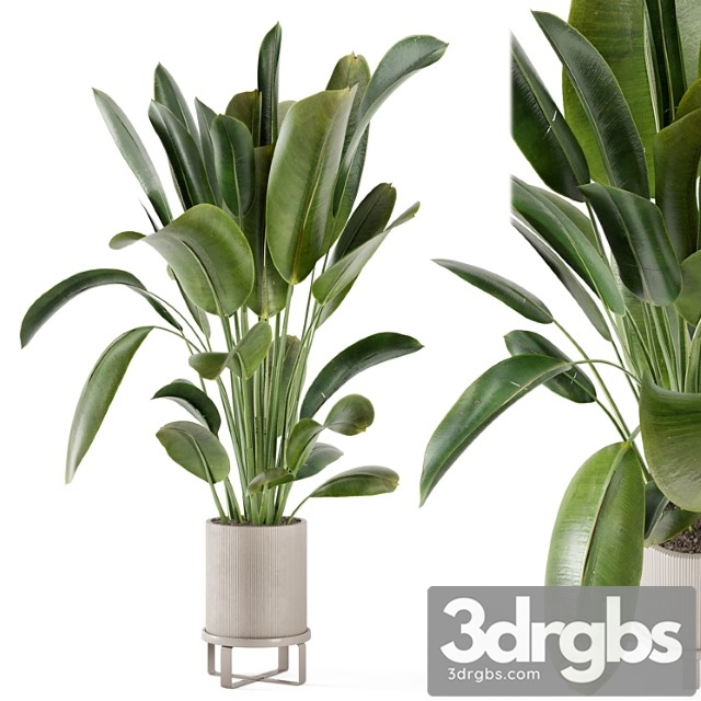 Indoor plants in ferm living bau pot large - set 378