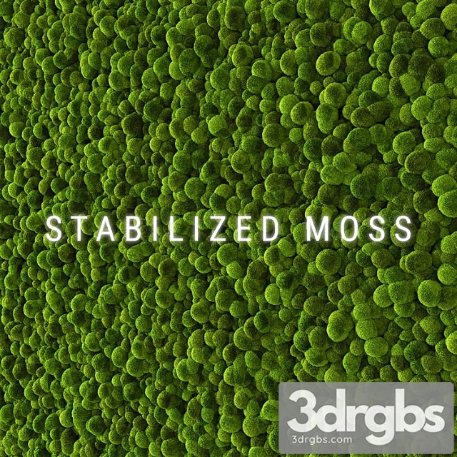 Stabilized Moss 2