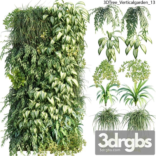Verticalgarden - green wall 13