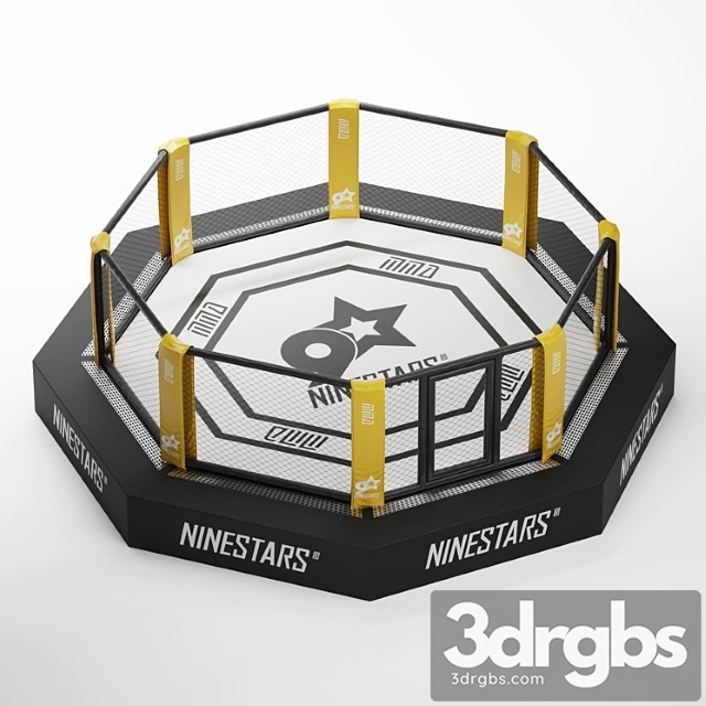 Mma Arena Octagon